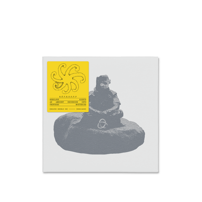 Nebulous Nights - CD